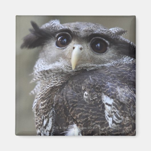 Ueno, Taitoh-ku, Tokio, Japan 2 Magnet (Vorne)