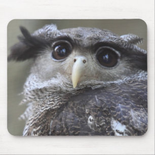 Ueno, Taitoh-ku, Tokyo, Japan 2 Mousepad