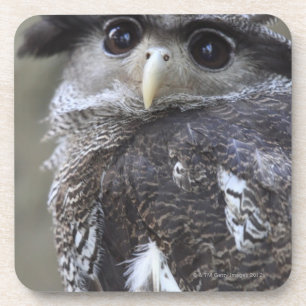 Ueno, Taitoh-ku, Tokyo, Japan 2 Untersetzer