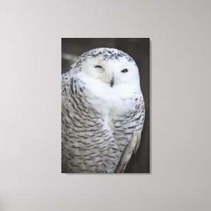 Ueno, Taitoh-ku, Tokyo, Japan Leinwanddruck