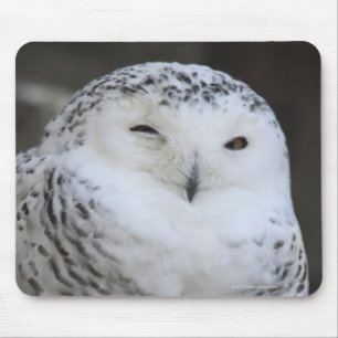 Ueno, Taitoh-ku, Tokyo, Japan Mousepad