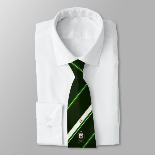 Ufa-Streifenflagge Krawatte (Gebunden)