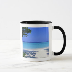 Ufer 13 tasse
