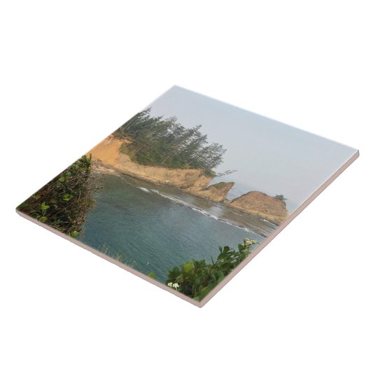 Ufer Acres Staat Park, Oregon Coast Fliese (Seite)