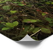 Ufer Acres Staat Park, Oregon Coast Poster (Ecke)