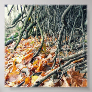 Ufer des Hafren-Flusses Poster