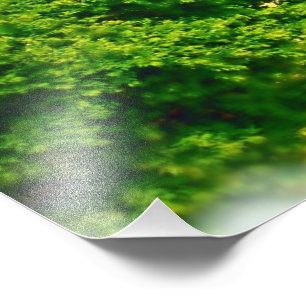 Ufer von Chicago Beach Fotodruck