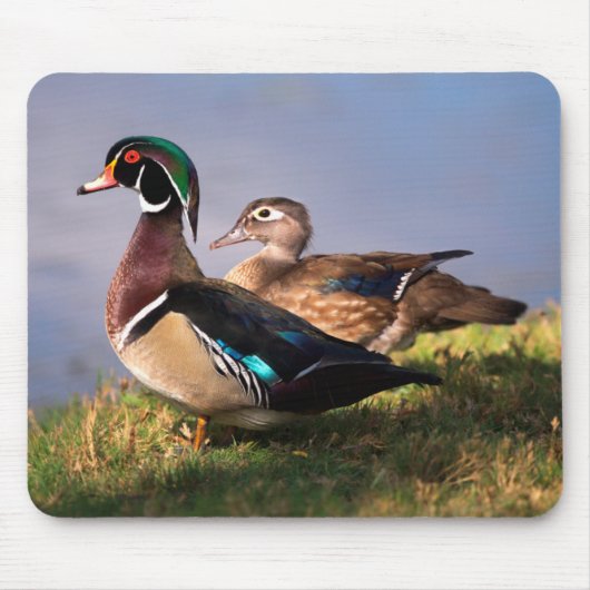 Ufer, Waldschnatterente Mousepad (Vorne)