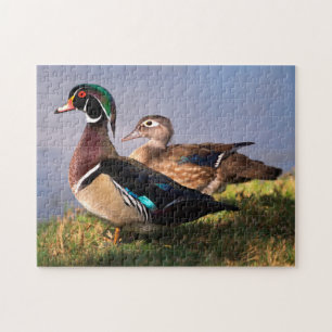 Ufer, Waldschnatterente Puzzle
