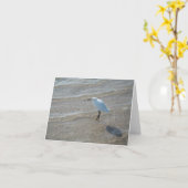 Ufervogel notecard karte (Gelbe Blume)