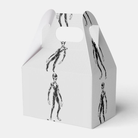 UFO Alien Thunder_Cove Geschenkschachtel (Rückseite)