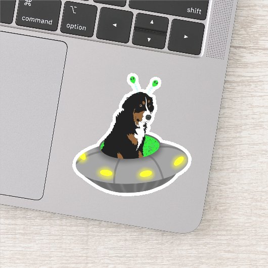 UFO Bernese Mountain Hund Sticker (Detail)