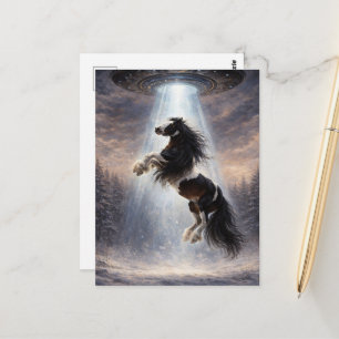UFO, das ein Pinto Spotted Gypsy Vanner Pferd aufn Postkarte