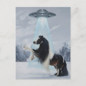 UFO entführt ein Gypsy Vanner Pferd Postkarte (Vorderseite)