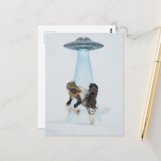 UFO entführt ein wunderschönes Pferd Postkarte (Vorderseite/Rückseite Beispiel)