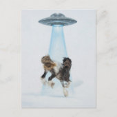 UFO entführt ein wunderschönes Pferd Postkarte (Vorderseite)