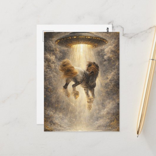 UFO-Entführung eines wunderschönen Gypsy Vanner Pf Postkarte (Vorderseite/Rückseite Beispiel)