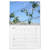 UFO-Flugschau über Los Gatos Kalender (Mär 2027)