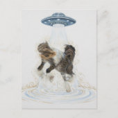 UFO holt ein wunderschönes Pferd Postkarte (Vorderseite)