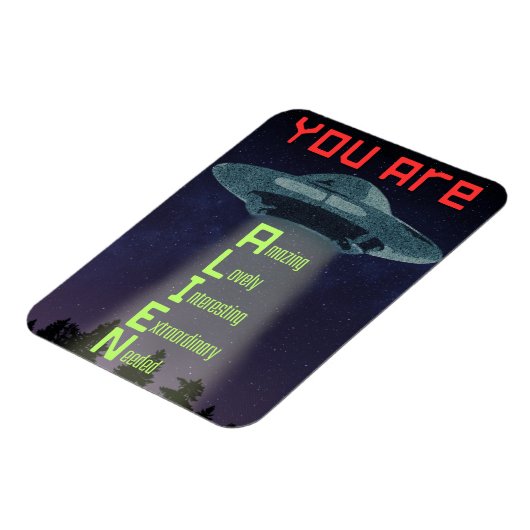 UFO Magnet (Linke Seite)