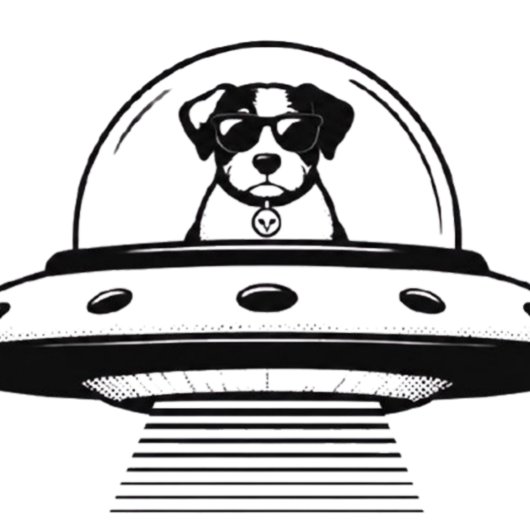 UFO PETS UHR
