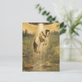 UFO picking up a Gorgeous Gypsy Vanner Horse Postkarte (Stehend Vorderseite)