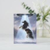 UFO picking up a Spotted Gypsy Vanner Horse Postkarte (Stehend Vorderseite)