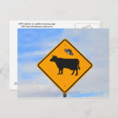 UFO Rind Crossing Sign in New Mexico Postkarte (Vorne/Hinten)