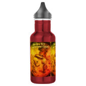 UFO Roswell 40-50s Edelstahlflasche (Links)
