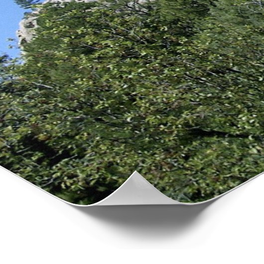 UFO Salamander am Devils Tower Poster (Ecke)