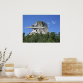 UFO Salamander am Devils Tower Poster (Küche)
