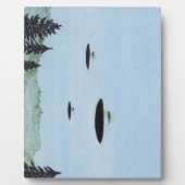 UFO Trio Fotoplatte (Vorderseite)