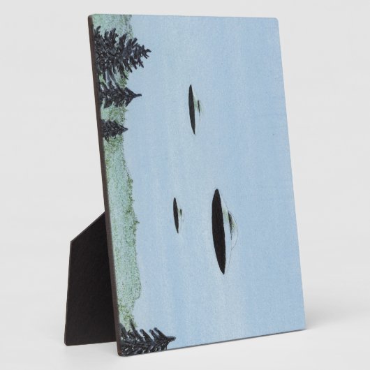 UFO Trio Fotoplatte (Seite)