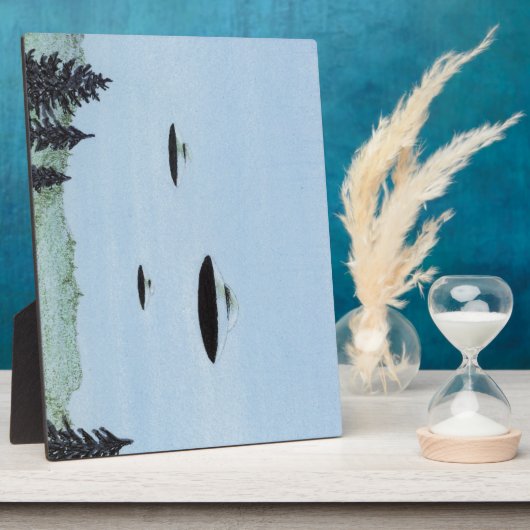 UFO Trio Fotoplatte (Seite)