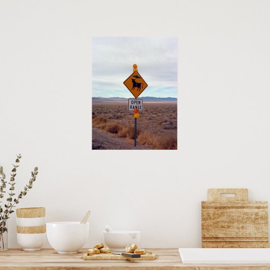 Ufos und Gebiet 51 Poster (Küche)