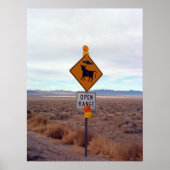 Ufos und Gebiet 51 Poster (Vorne)