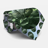 Uganda Aquarium Krawatte (Gerollt)