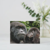 Ugandan Gorillas Postkarte (Stehend Vorderseite)
