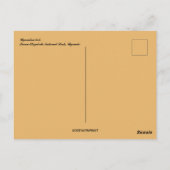 Ugandan Kob Queen Elizabeth Nationalpark Uganda Postkarte (Rückseite)