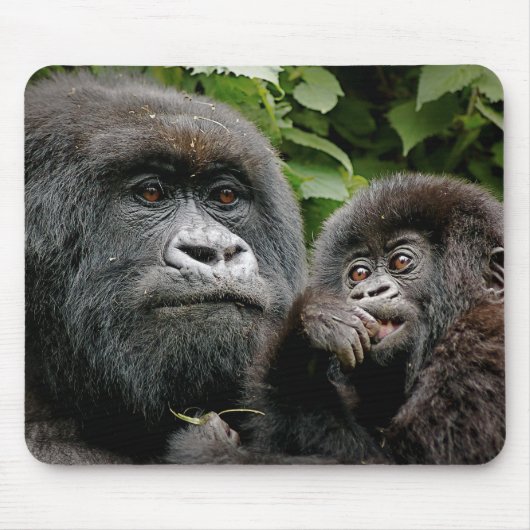 Ugandan-Mutter u. Baby-Gorilla Mousepad (Vorne)