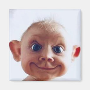 Ugly Baby - Funny Magnet