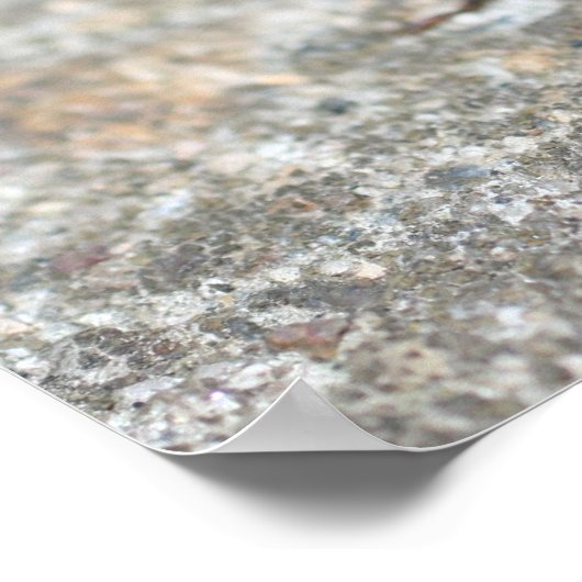 Ugly Bug Kids Room Personalized Wall Door  Poster (Ecke)