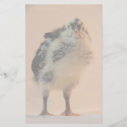 Ugly Chick Briefpapier (Vorderseite)