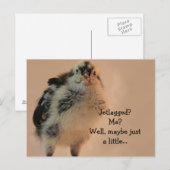 Ugly Chick Postkarte (Vorne/Hinten)