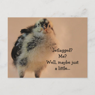 Ugly Chick Postkarte