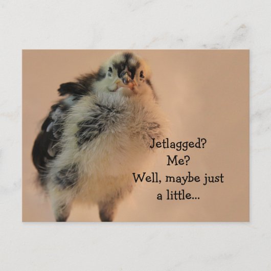 Ugly Chick Postkarte (Vorderseite)