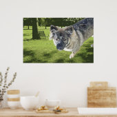 Ugly mutt poster (Küche)