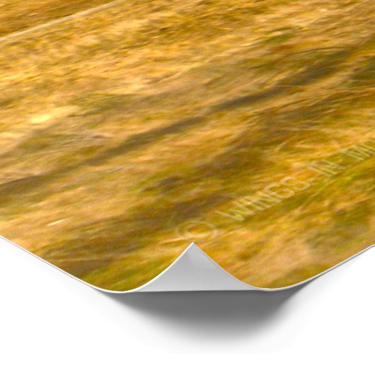 UH-1Y VENOM POSTER (Ecke)