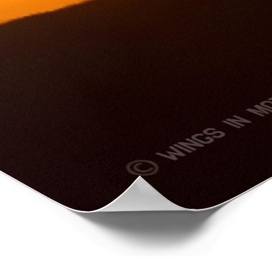 UH-1Y VENOM POSTER (Ecke)