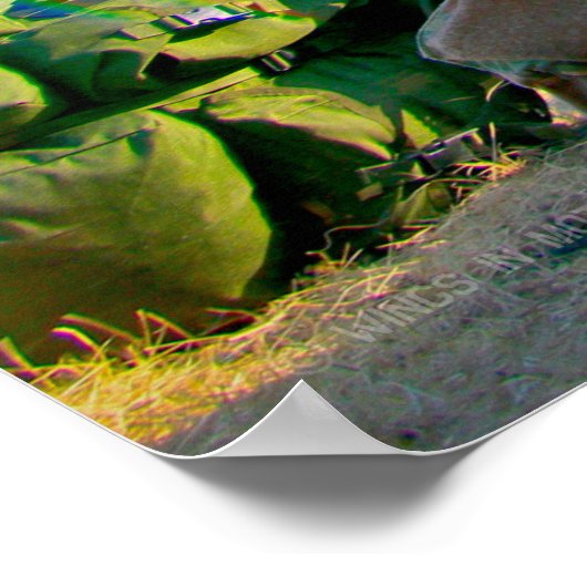 UH-60M BLACKHAWK POSTER (Ecke)